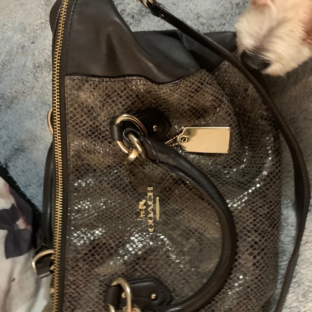 Brand name new purses